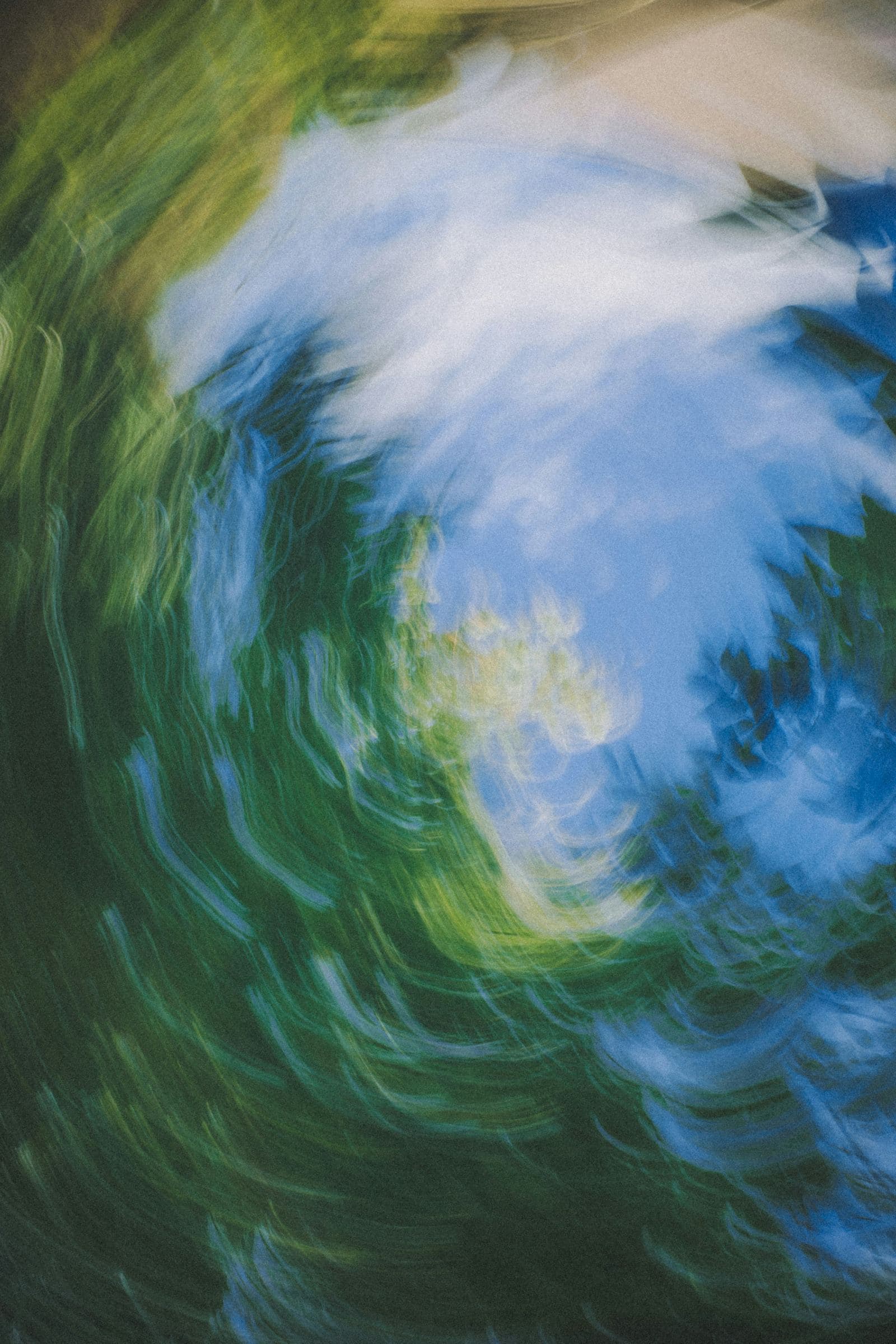 Green foliage smeared into an abstract swirl of motion blur